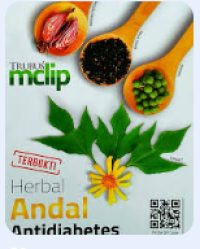 Image of Herbal Andal Antidiabetes